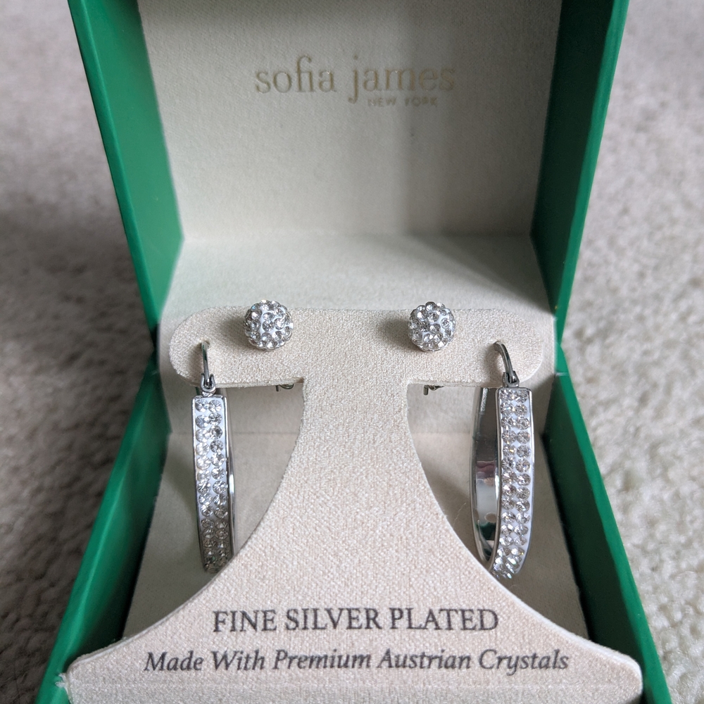 Elegant Silver Crystal Earrings Set